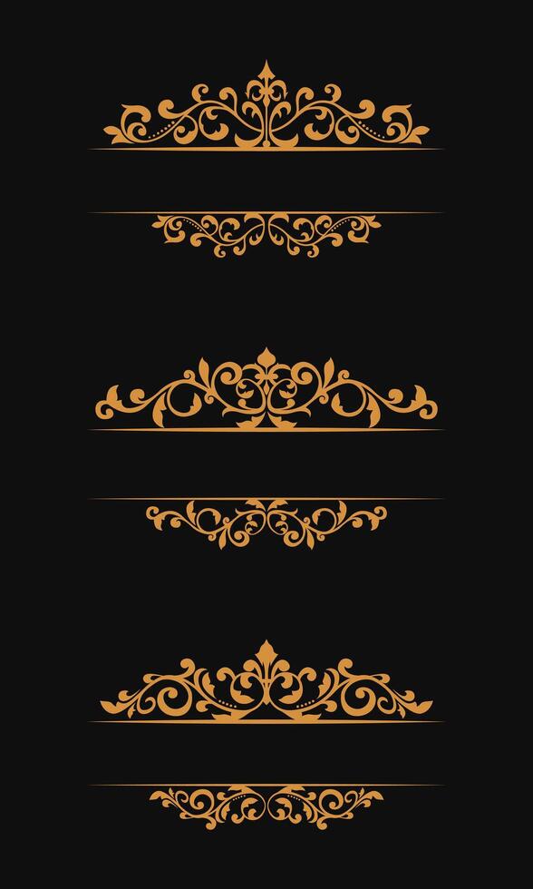Collection of luxury gold floral vintage borders vector