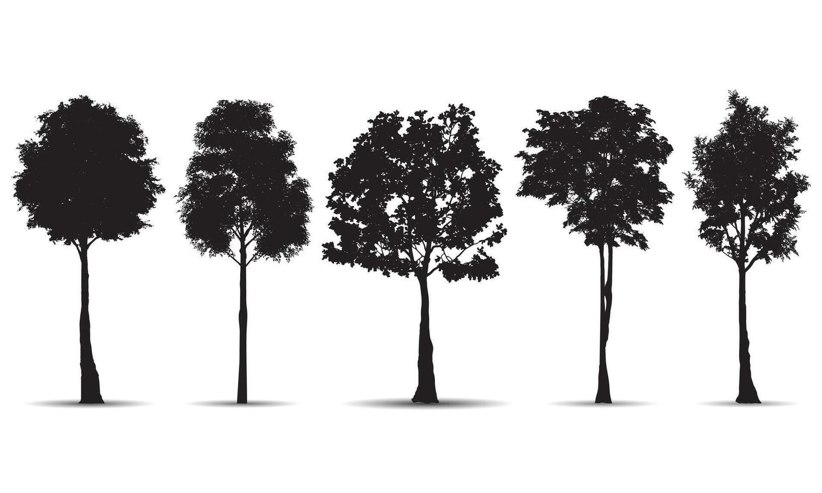 Collection of different forest tree silhouettes vector