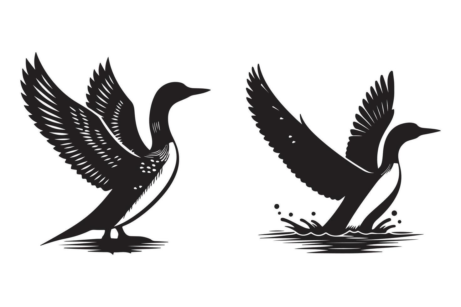 Loon silhouette illustration with white background vector