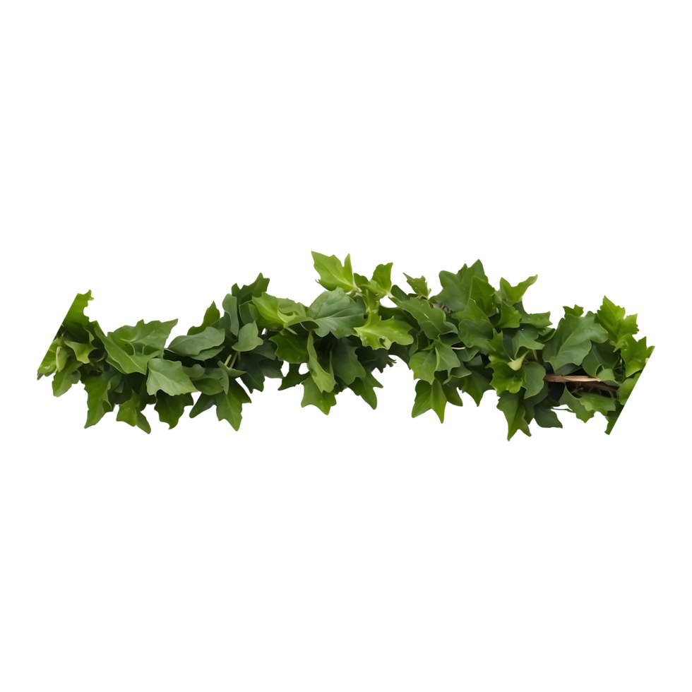 Berry Wreath Decorative Element isolated on a transparent background png