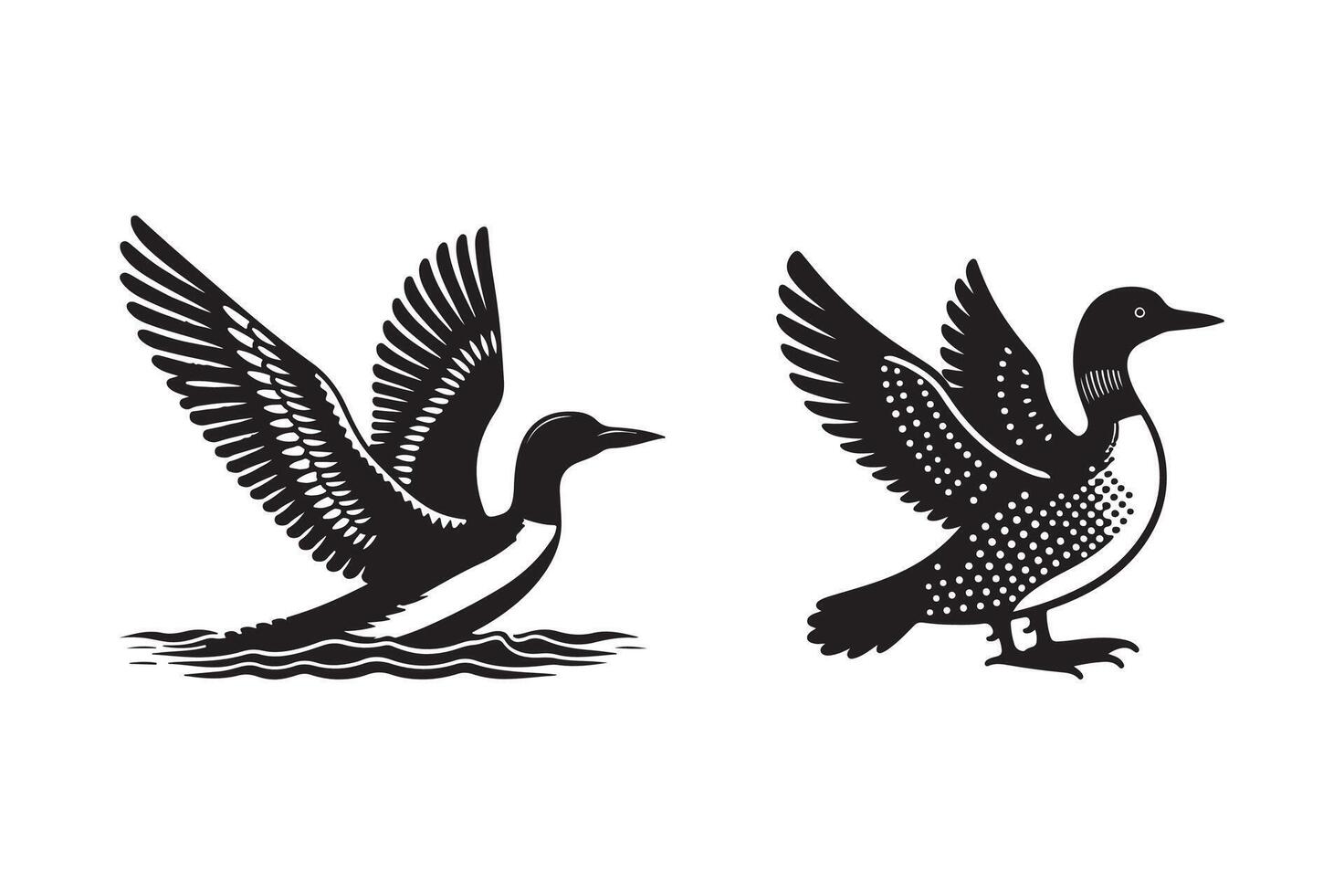 Loon silhouette illustration with white background vector