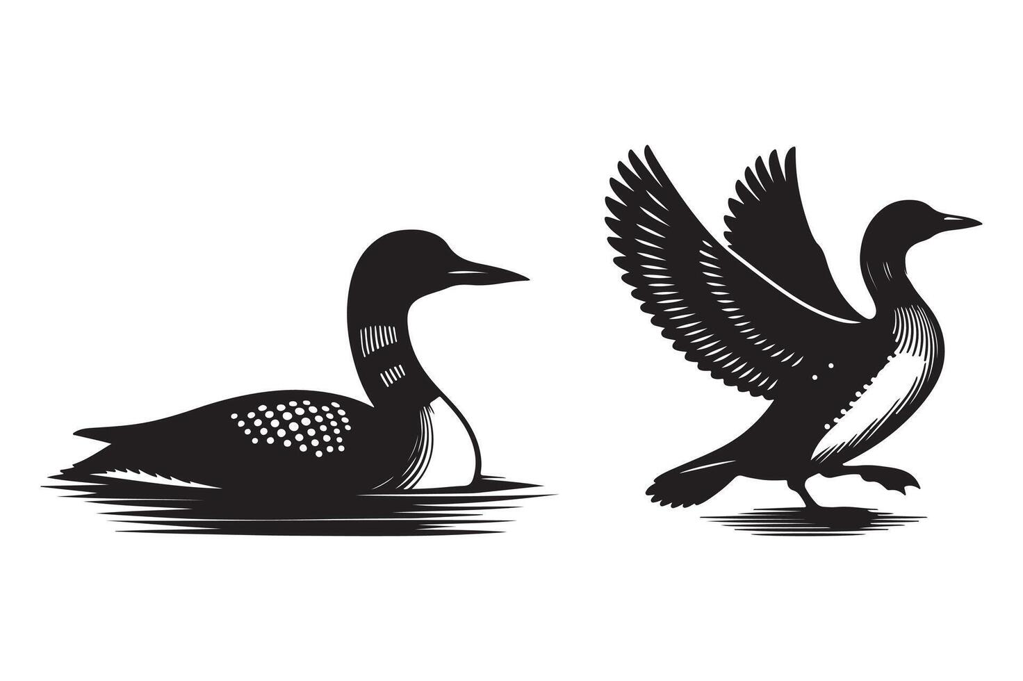Loon silhouette illustration with white background vector