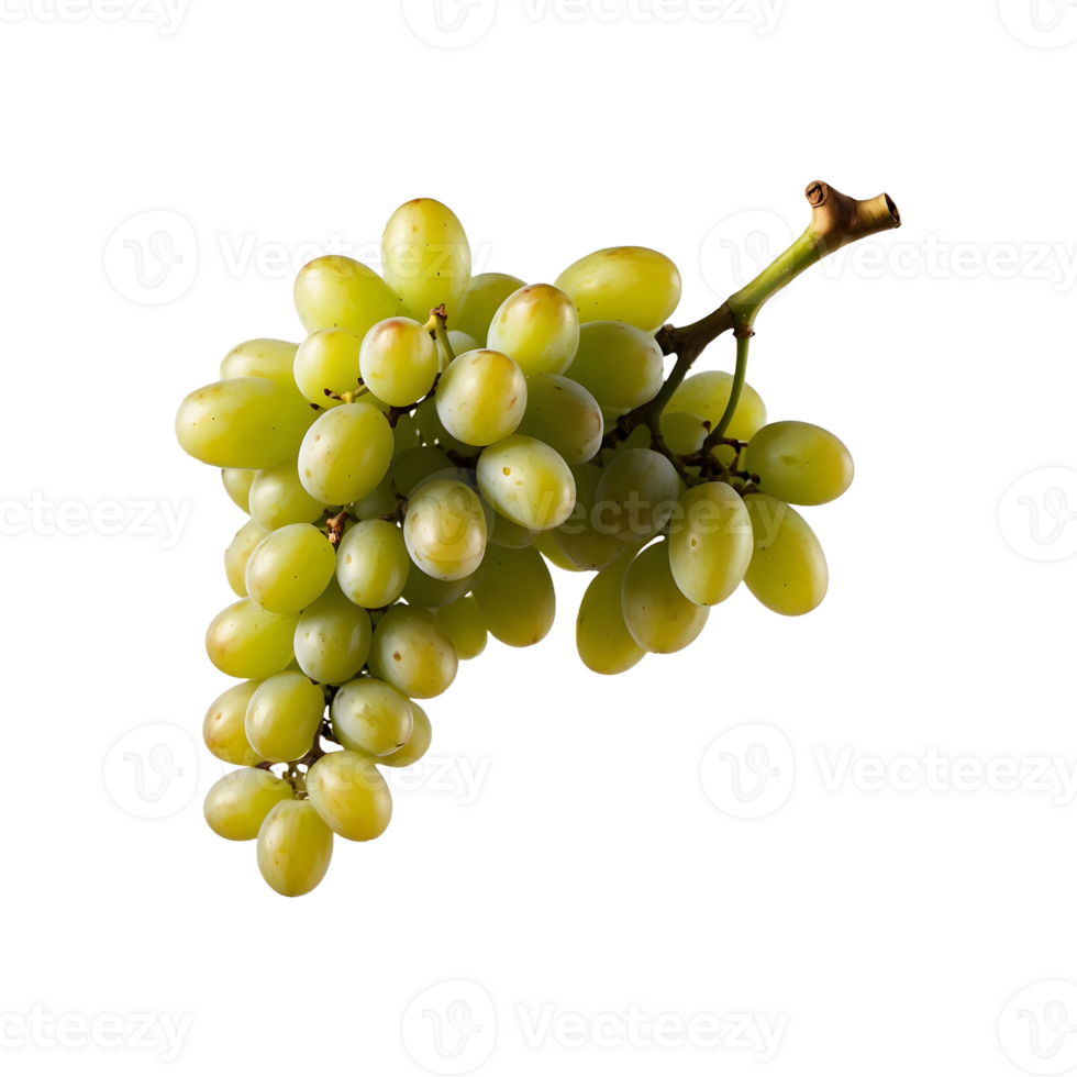 Plump and Juicy A bunch of Fresh Grapes Isolated on a Transparent Background png