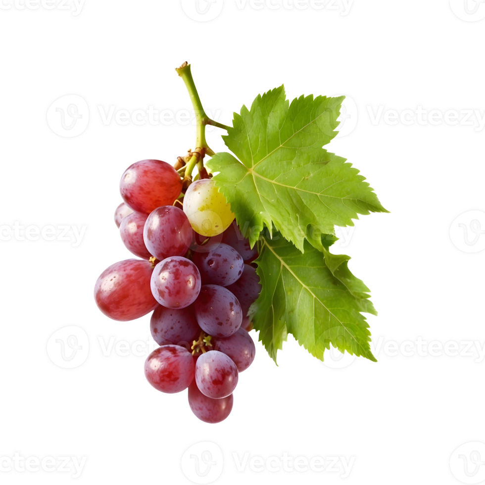 Grape Delight A bunch of Fresh Grapes Fruit Isolated on a Transparent Background png
