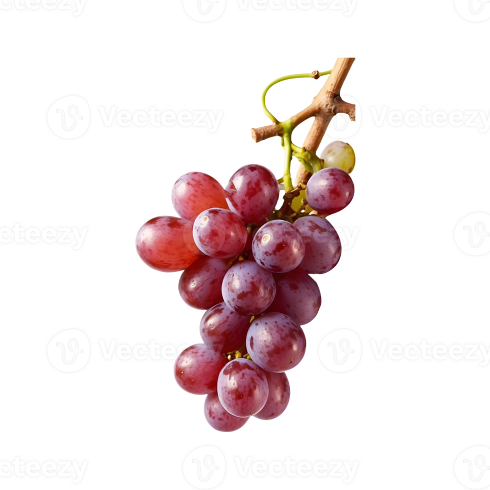 Grape Delight A bunch of Fresh Grapes Fruit Isolated on a Transparent Background png