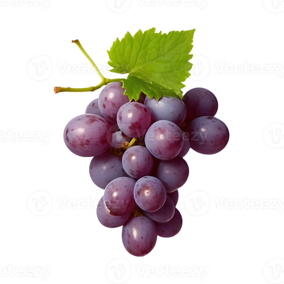 Natures Candy A bunch of Fresh Grapes Fruit Isolated on a Transparent Background png