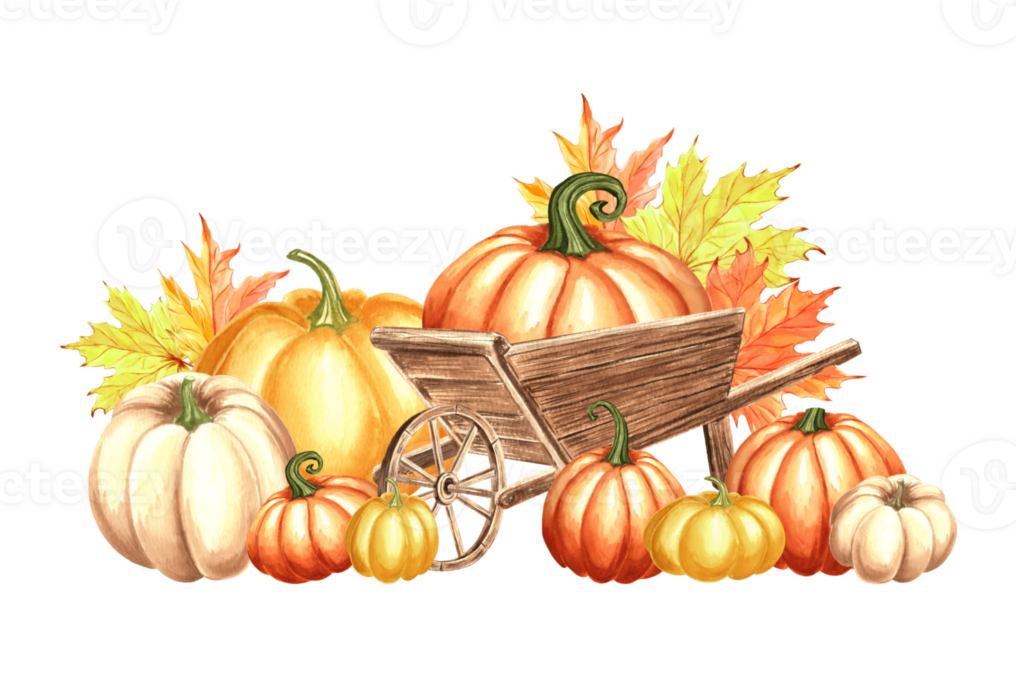 Pumpkins with maple leaves in wooden cart. Autumn composition. Hand drawn watercolor illustration isolated. Thanksgiving vegetables. Harvest garden equipment. Template for card, Halloween, embroidery. png