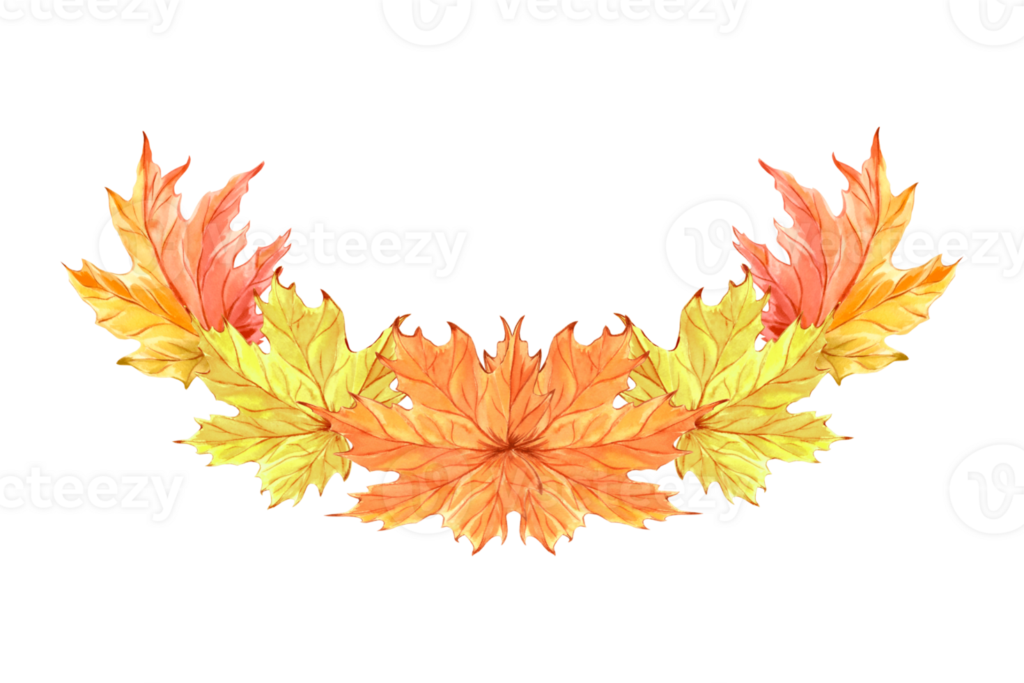 Fall maple leaves. Composition of autumn foliage. Hand drawn watercolor illustration, isolated. Forest and park plants, Canadian nature concept. Clipart for advertising, invitations, stickers, print. png
