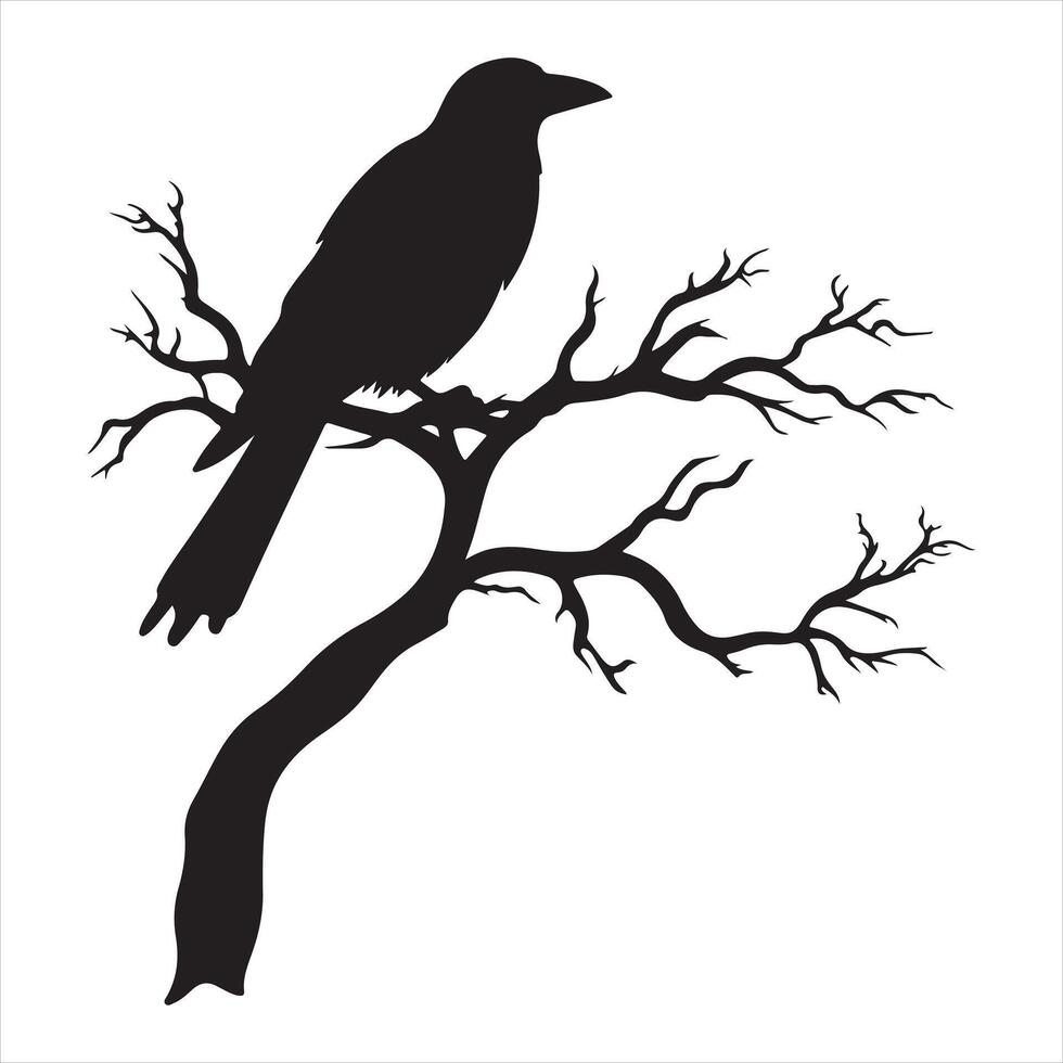 Ominous raven sitting on a bare tree branch silhouette white background vector