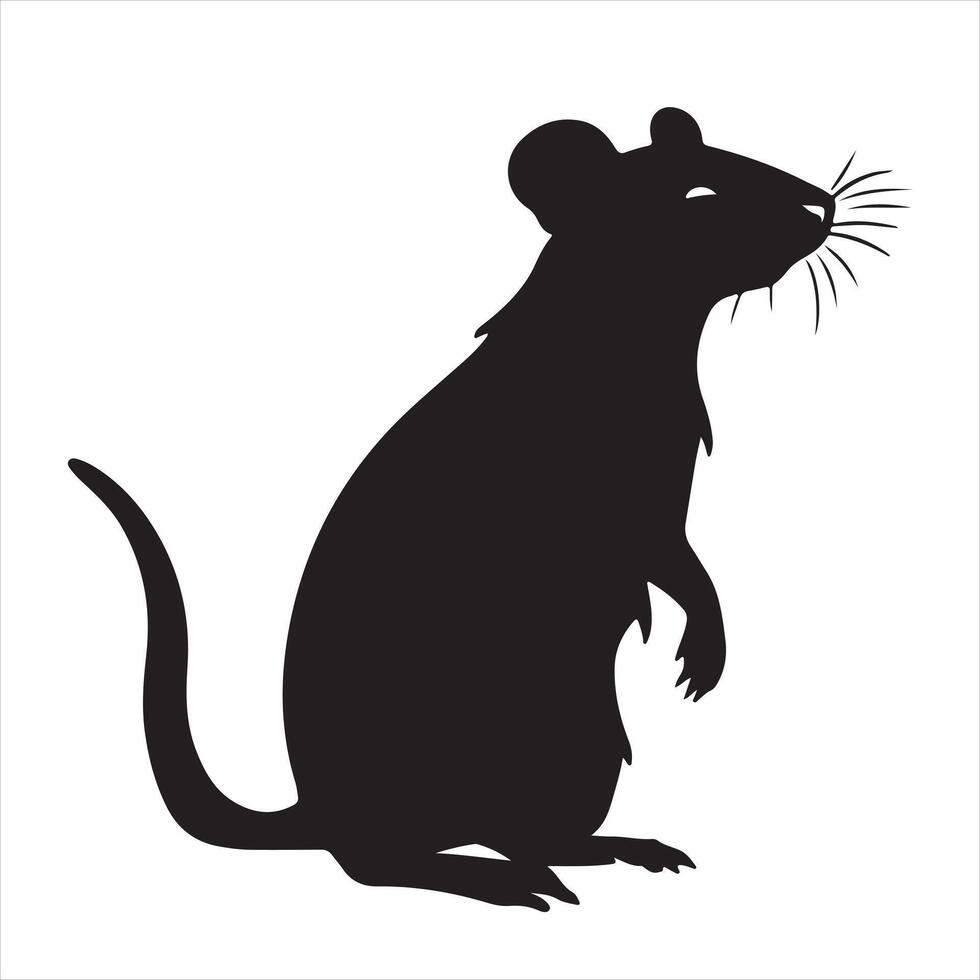 Rat silhouettes white background vector
