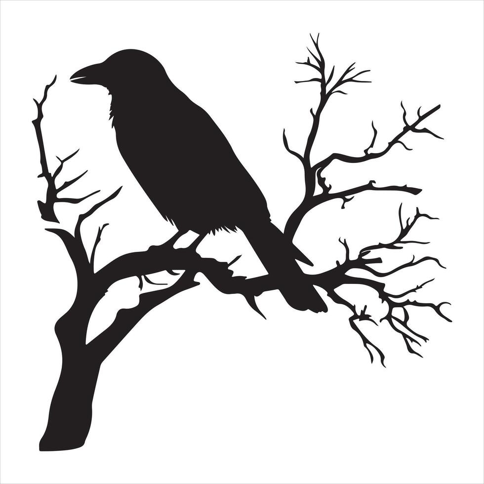Ominous raven sitting on a bare tree branch silhouette white background vector