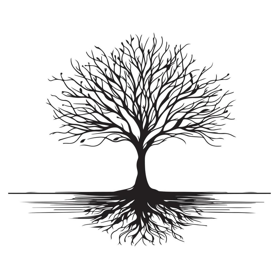 A leafy tree and its roots silhouette white background vector