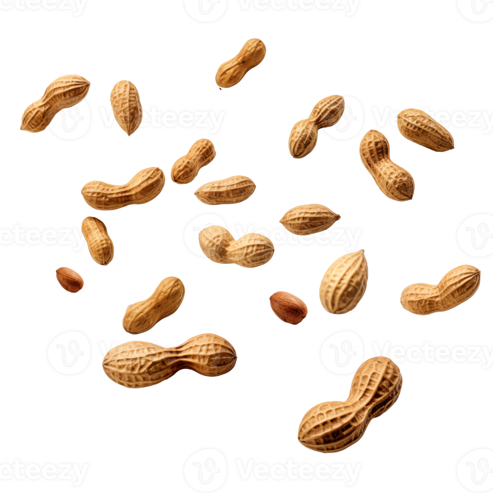 Falling peanuts with Transparent Background png