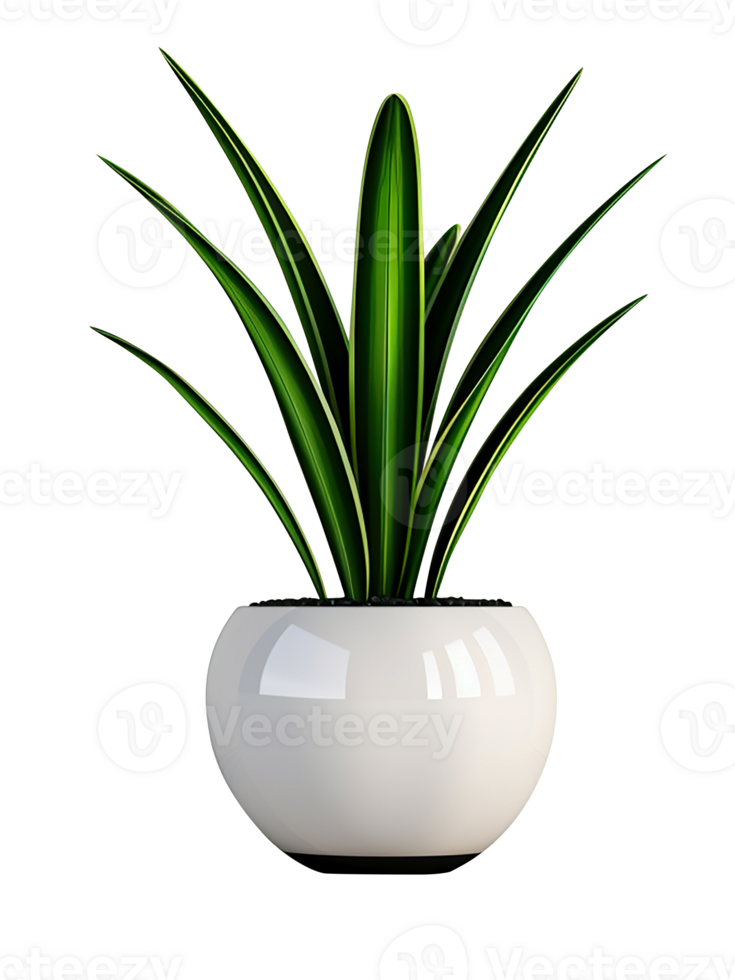 Plant in pot, Modern planter with a large snake plant, minimalist style, elegant and sleek mood, soft indoor light png