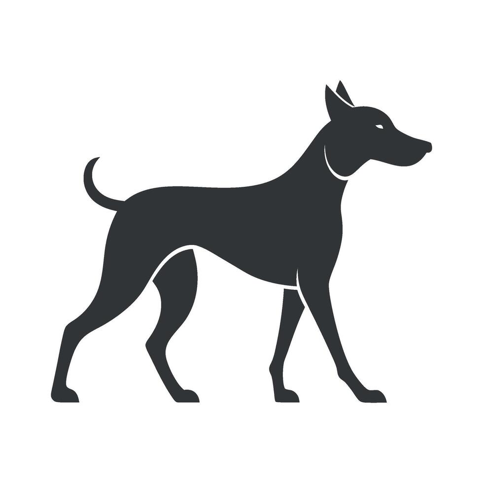 The Doberman Silhouette vector