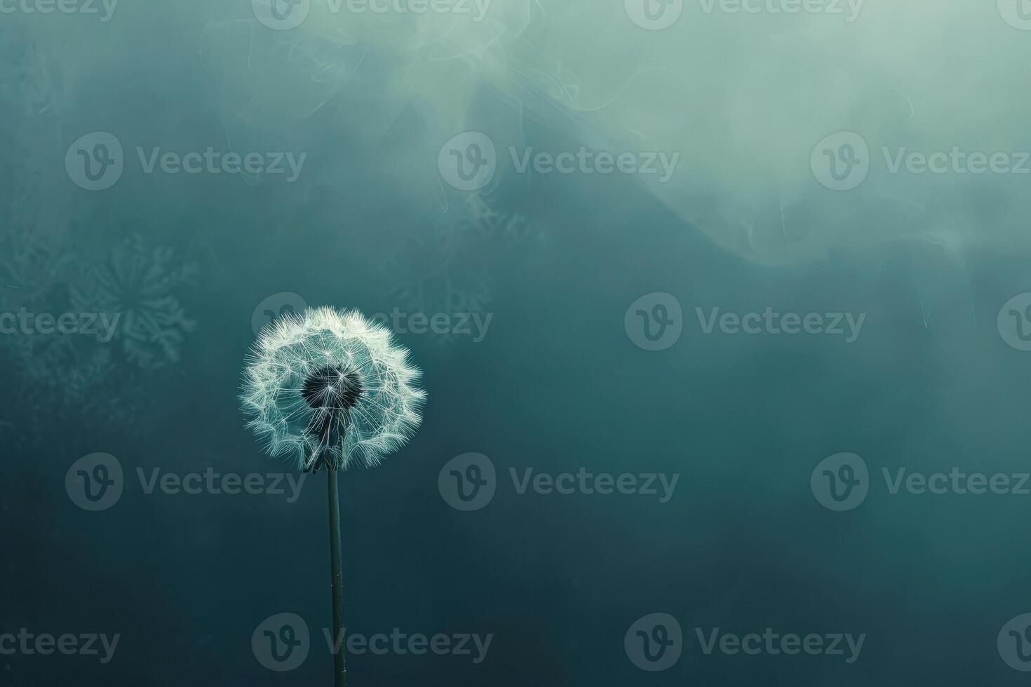 A single dandelion seed against a muted color background illustration photo