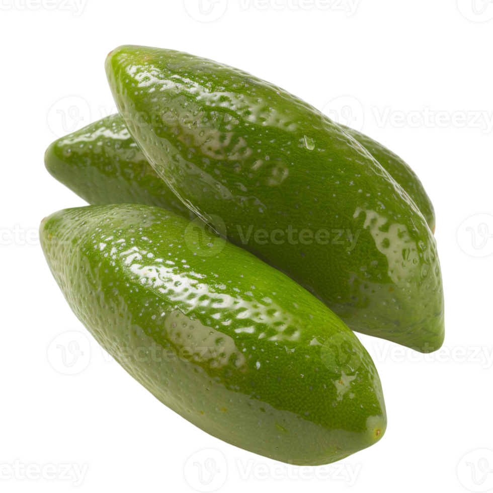 Finger Lime, fruit realistic Illustration. Realistic Transparent file. Mockup template for artwork graphic design png