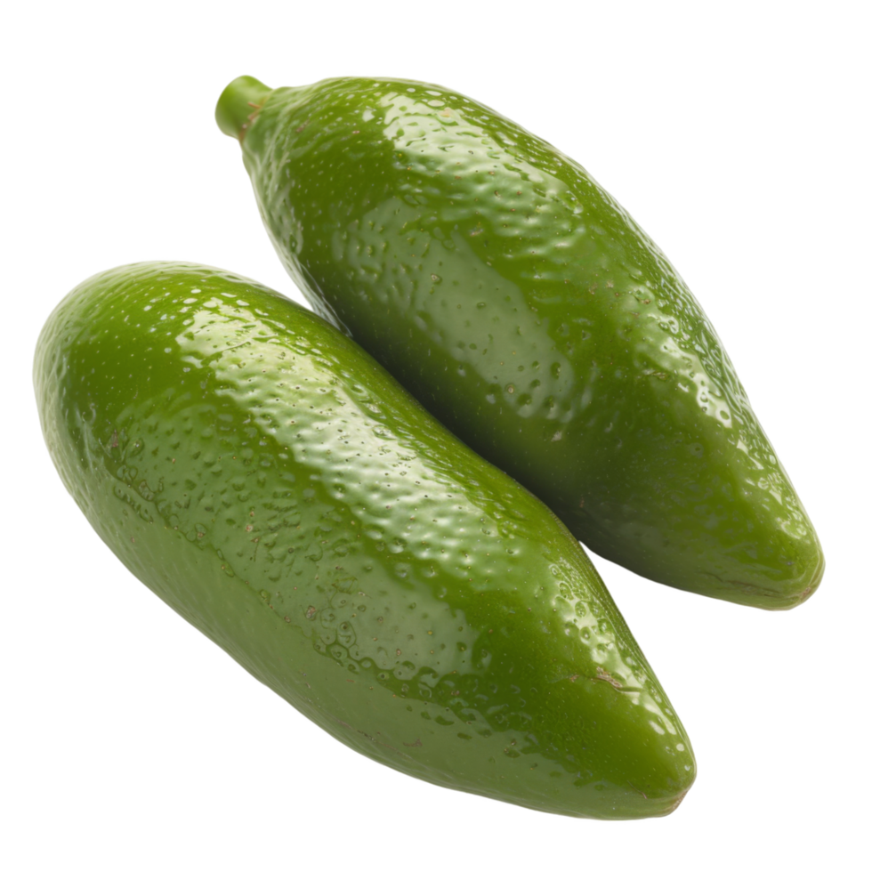 Finger Lime, fruit realistic Illustration. Realistic Transparent file. Mockup template for artwork graphic design png