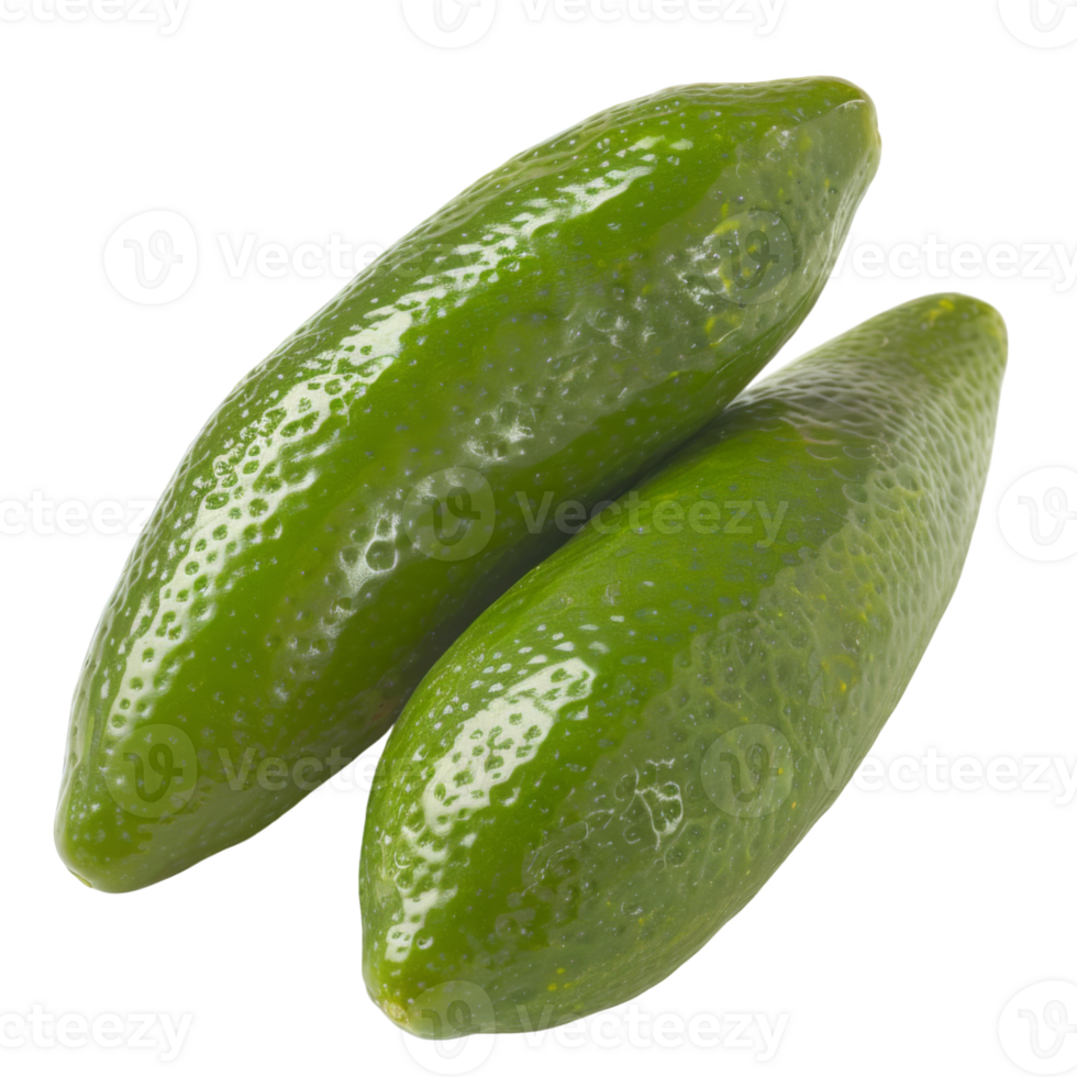 Finger Lime, fruit realistic Illustration. Realistic Transparent file. Mockup template for artwork graphic design png