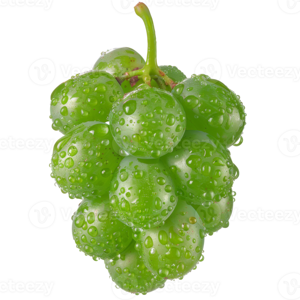 Green Grape, fruit realistic Illustration. Realistic Transparent file. Mockup template for artwork graphic design png