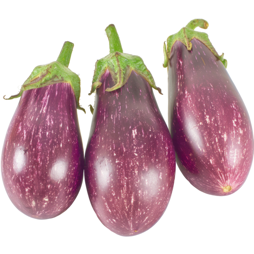 Eggplant, fruit realistic Illustration. Realistic Transparent file. Mockup template for artwork graphic design png