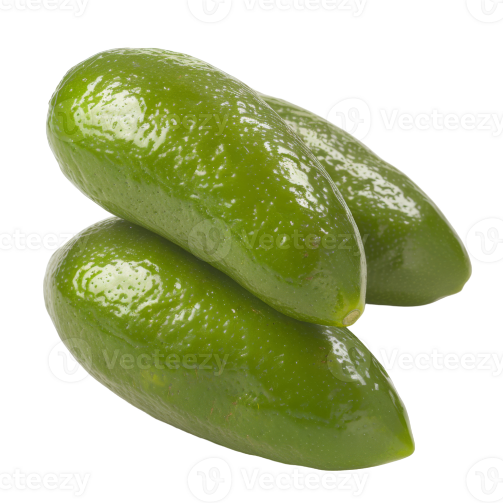 Finger Lime, fruit realistic Illustration. Realistic Transparent file. Mockup template for artwork graphic design png