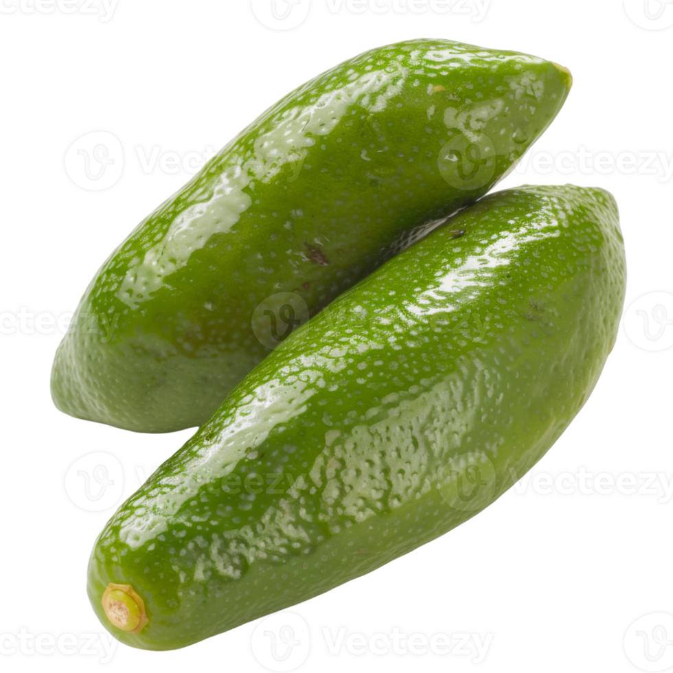 Finger Lime, fruit realistic Illustration. Realistic Transparent file. Mockup template for artwork graphic design png