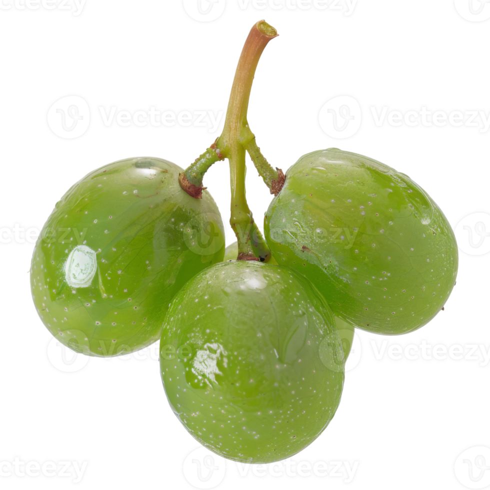 Green Grape, fruit realistic Illustration. Realistic Transparent file. Mockup template for artwork graphic design png