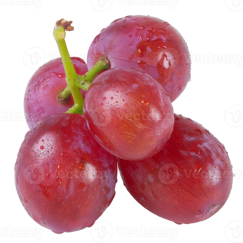 Purple Grape, fruit realistic Illustration. Realistic Transparent file. Mockup template for artwork graphic design png