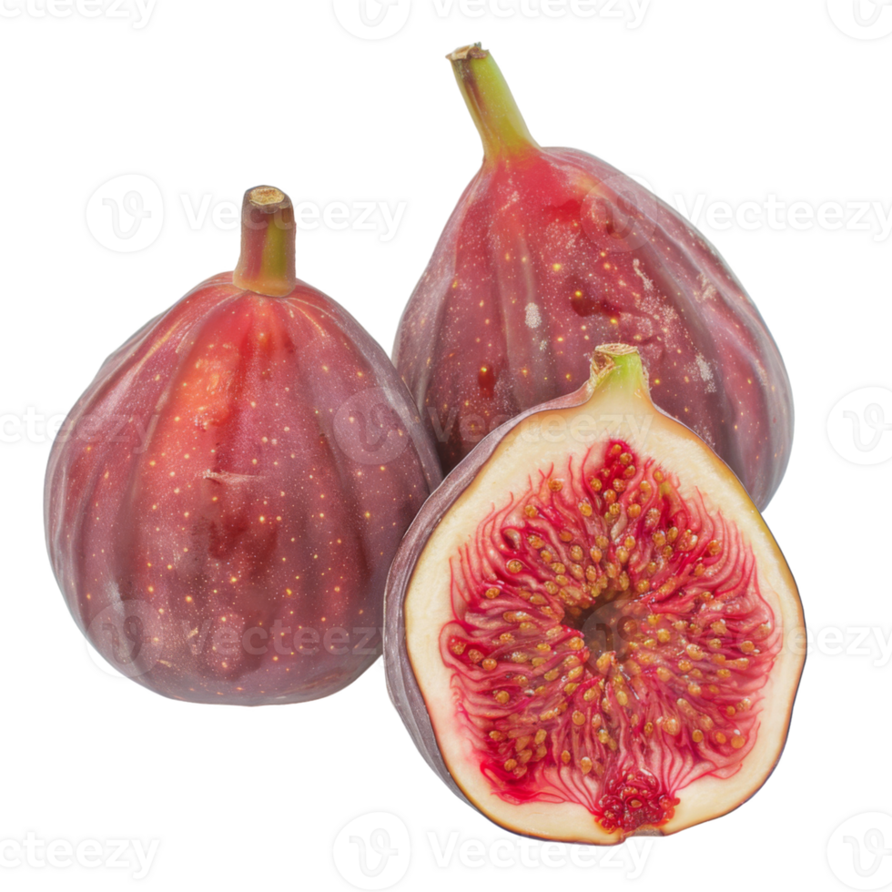 Fig, fruit realistic Illustration. Realistic Transparent file. Mockup template for artwork graphic design png