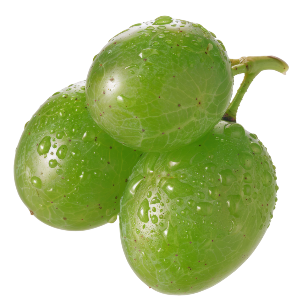 Green Grape, fruit realistic Illustration. Realistic Transparent file. Mockup template for artwork graphic design png