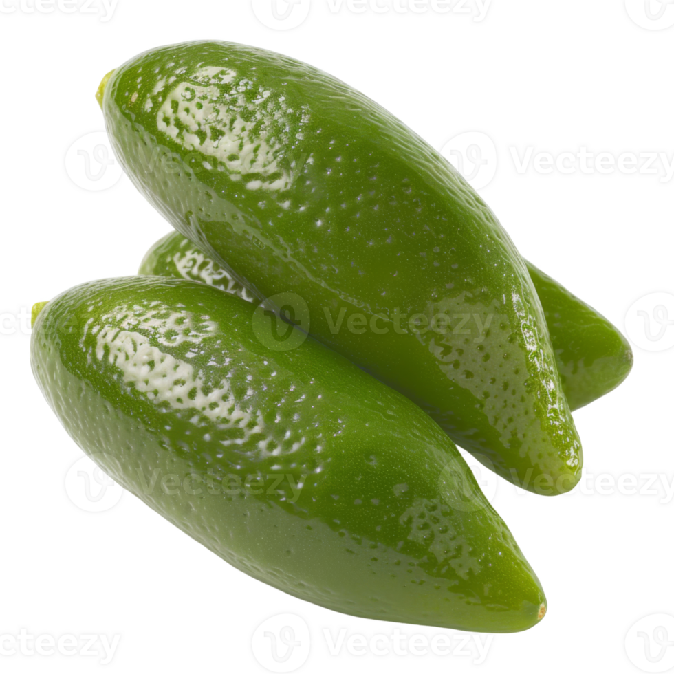 Finger Lime, fruit realistic Illustration. Realistic Transparent file. Mockup template for artwork graphic design png