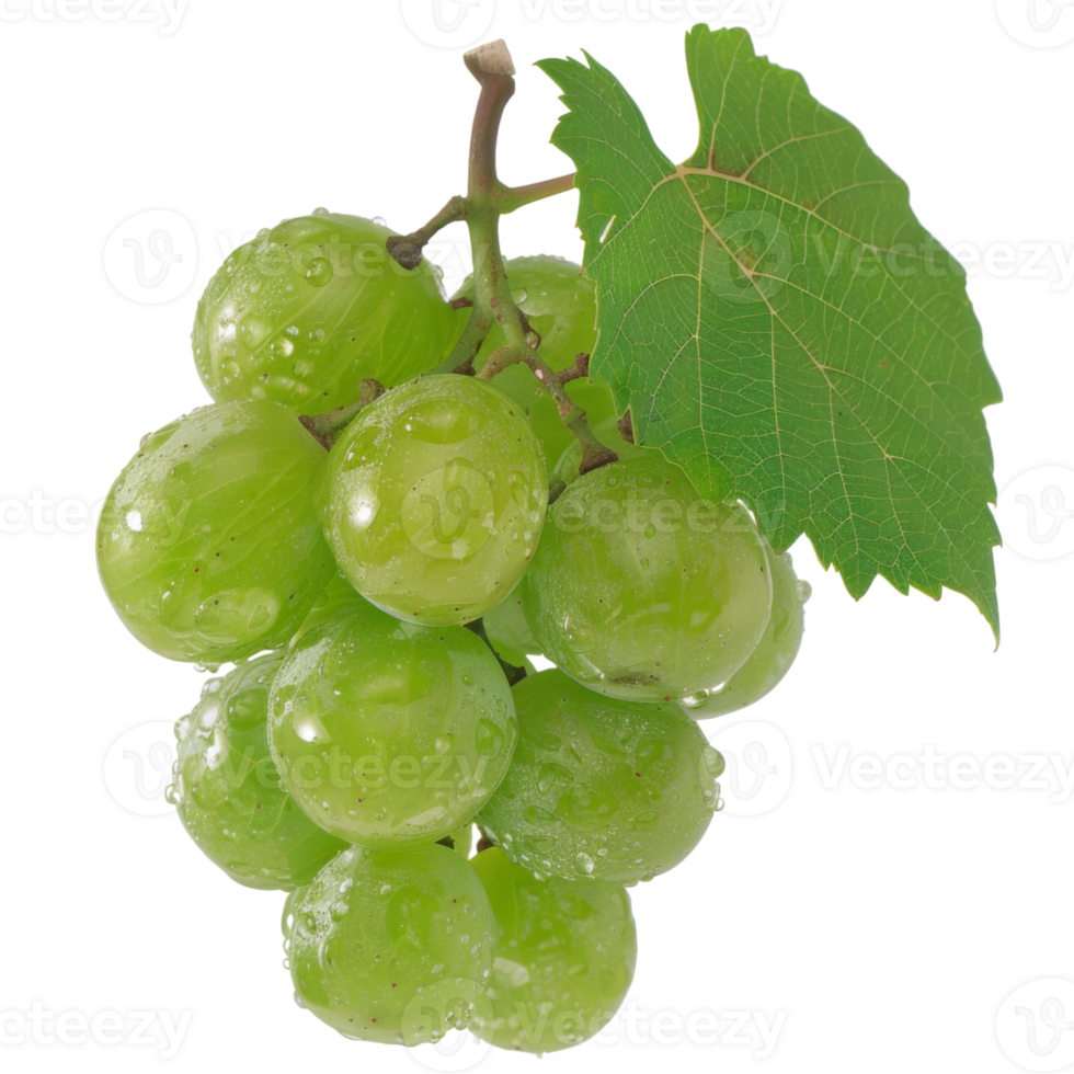 Green Grape, fruit realistic Illustration. Realistic Transparent file. Mockup template for artwork graphic design png