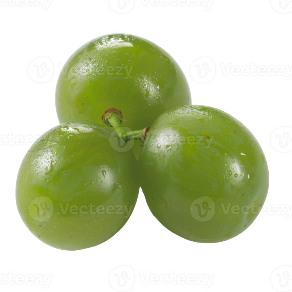 Green Grape, fruit realistic Illustration. Realistic Transparent file. Mockup template for artwork graphic design png
