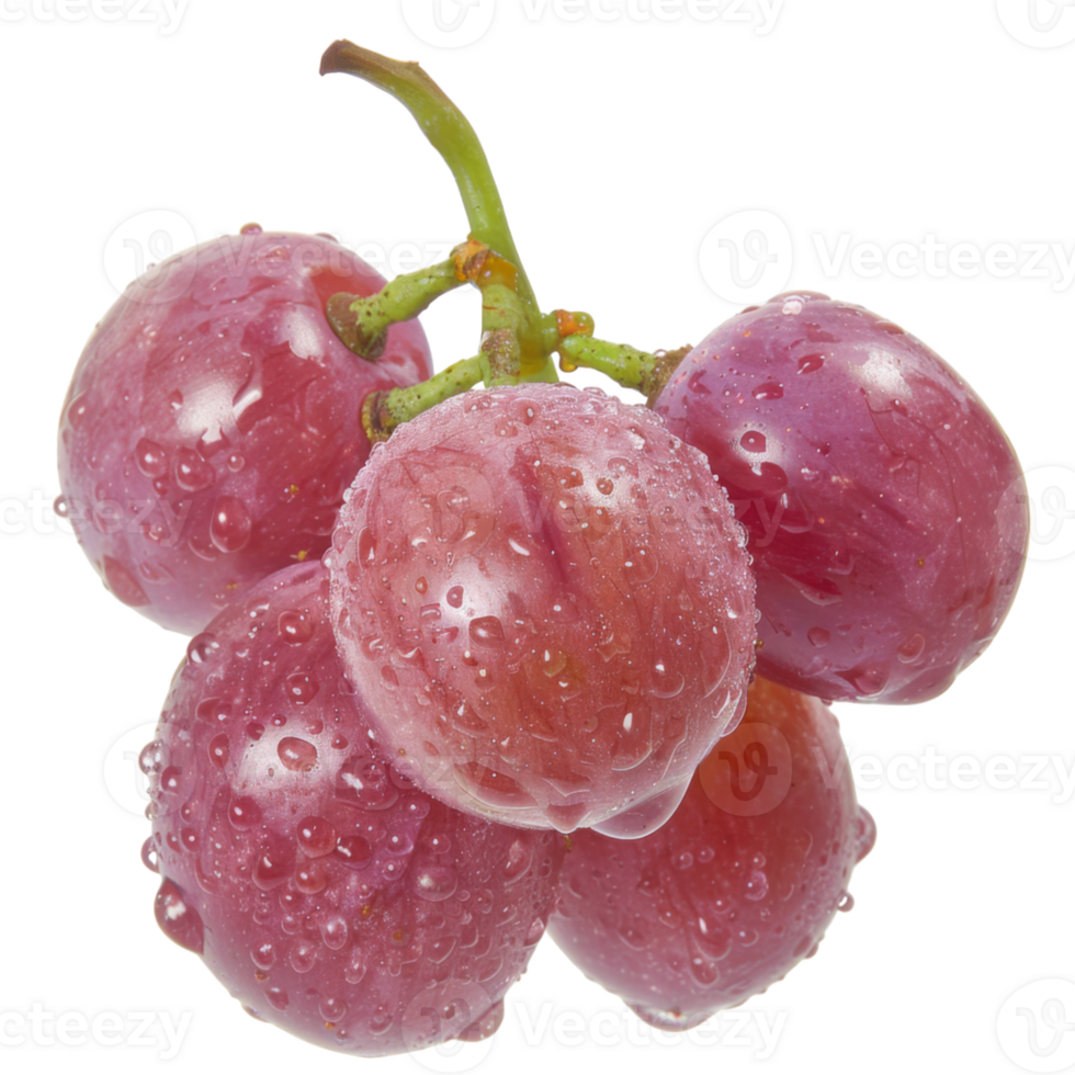 Purple Grape, fruit realistic Illustration. Realistic Transparent file. Mockup template for artwork graphic design png