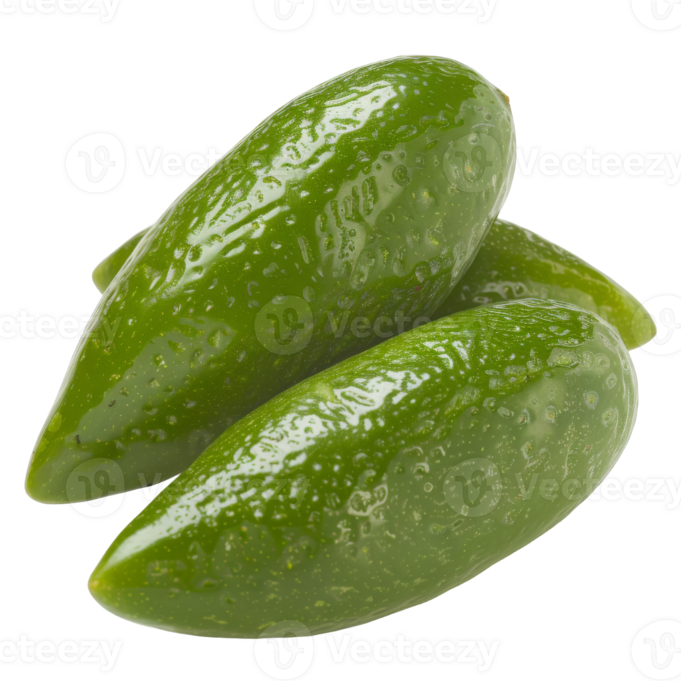 Finger Lime, fruit realistic Illustration. Realistic Transparent file. Mockup template for artwork graphic design png