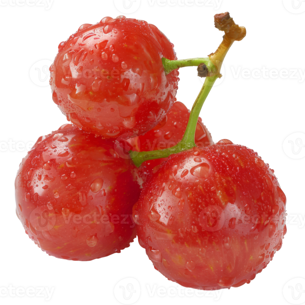 Red Grape, fruit realistic Illustration. Realistic Transparent file. Mockup template for artwork graphic design png