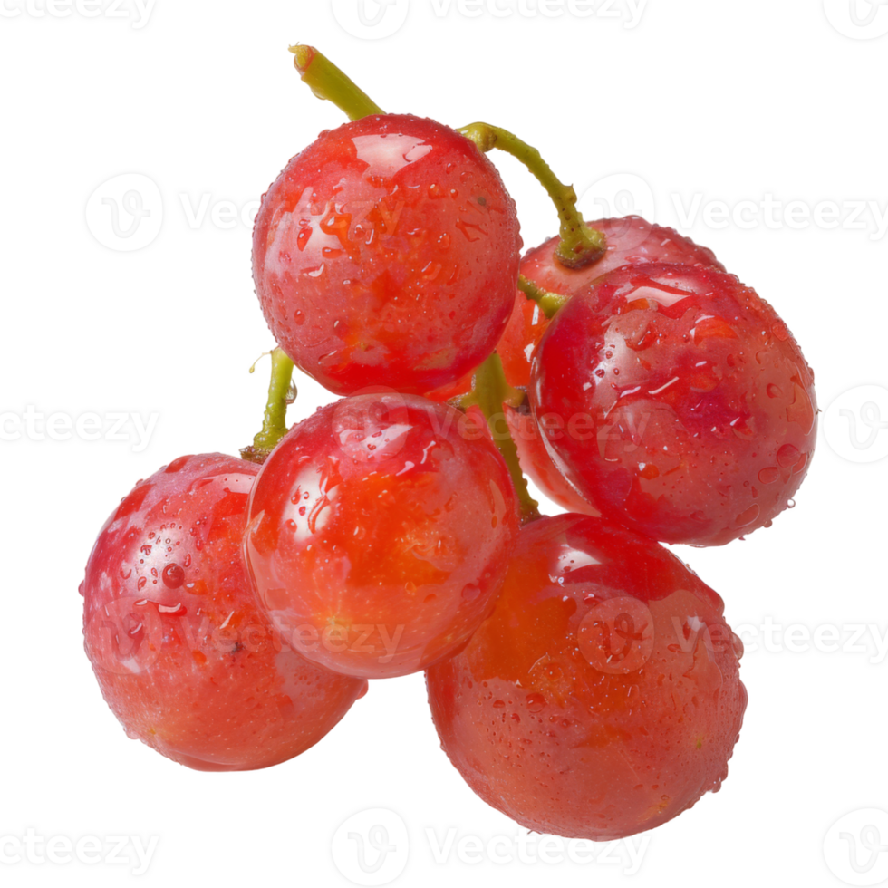 Red Grape, fruit realistic Illustration. Realistic Transparent file. Mockup template for artwork graphic design png