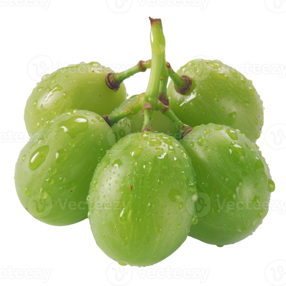 Green Grape, fruit realistic Illustration. Realistic Transparent file. Mockup template for artwork graphic design png