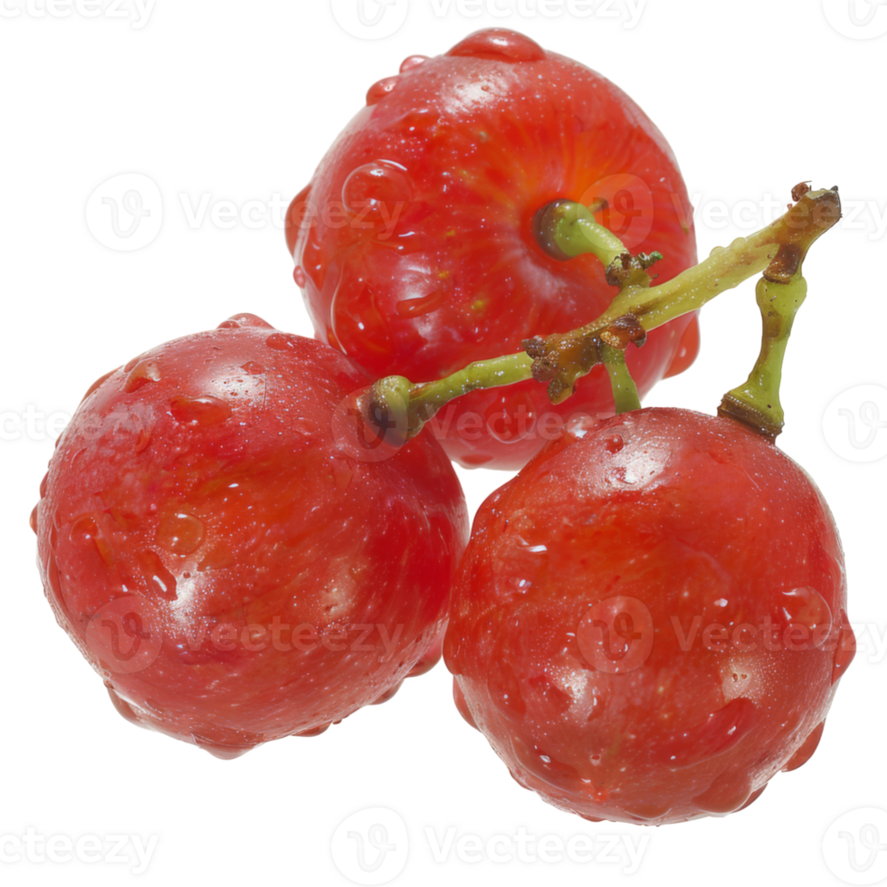 Red Grape, fruit realistic Illustration. Realistic Transparent file. Mockup template for artwork graphic design png