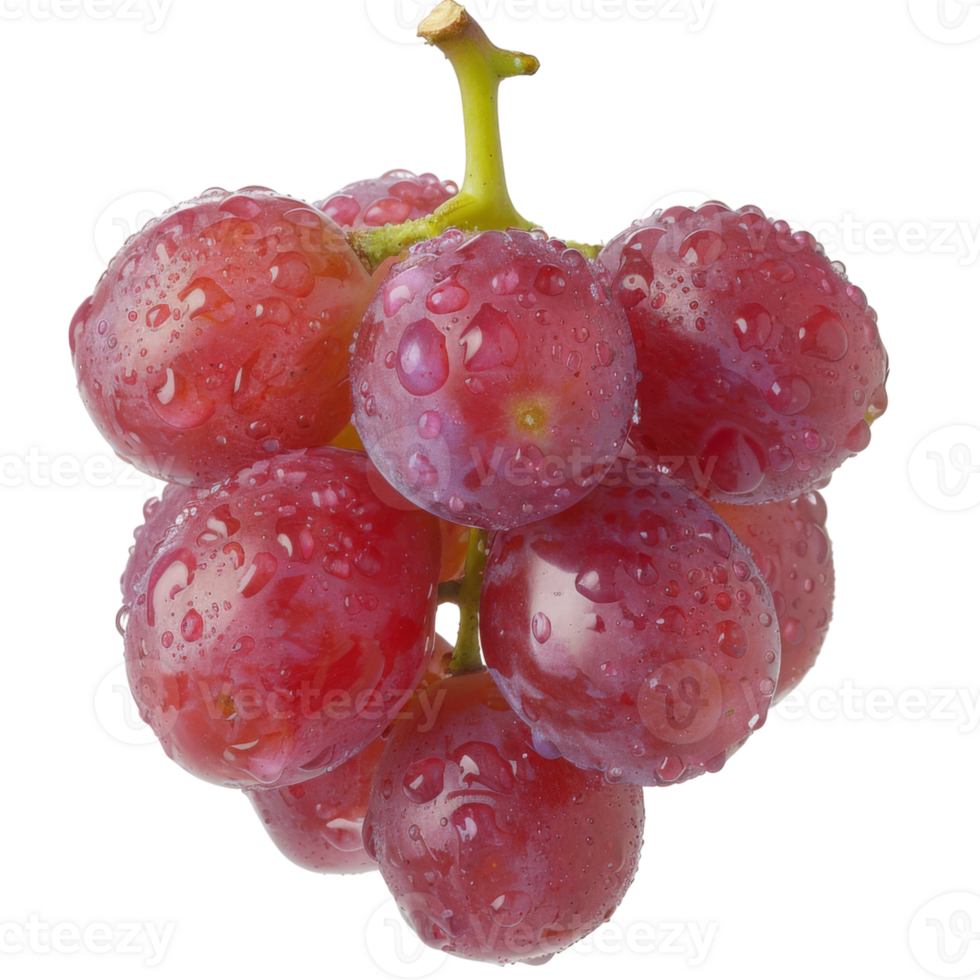 Purple Grape, fruit realistic Illustration. Realistic Transparent file. Mockup template for artwork graphic design png