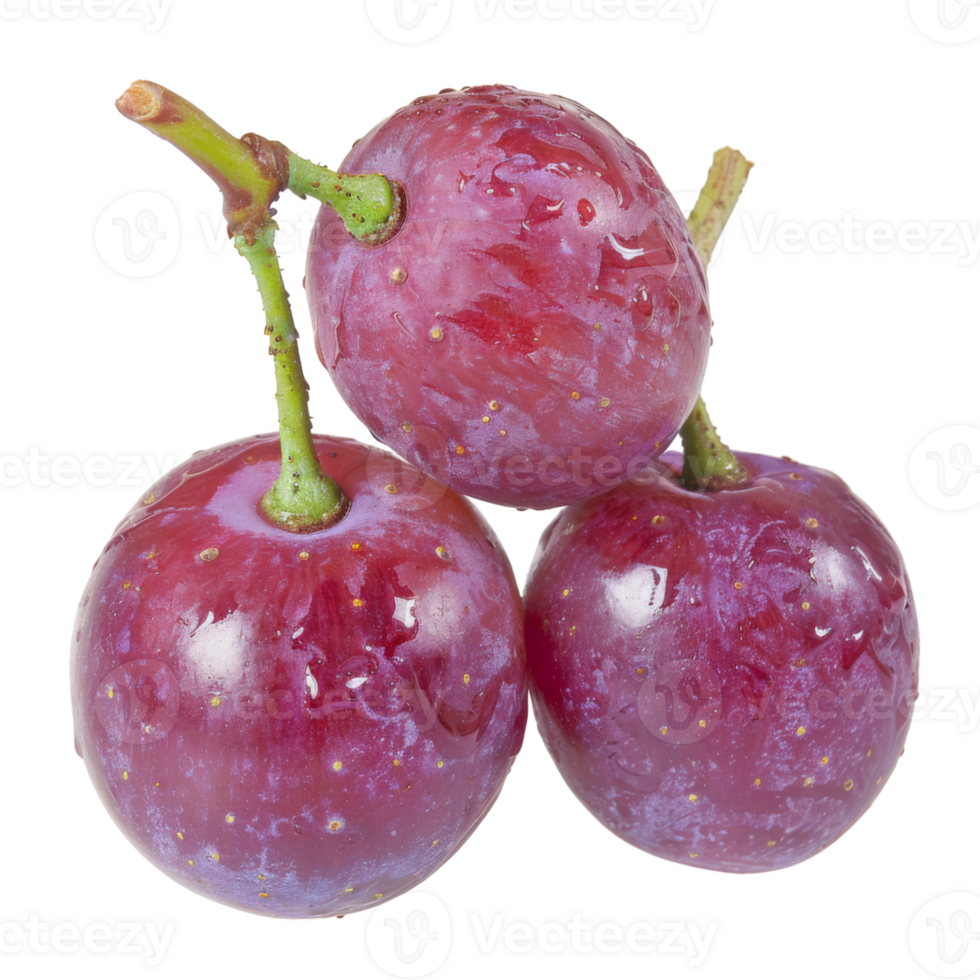 Purple Grape, fruit realistic Illustration. Realistic Transparent file. Mockup template for artwork graphic design png