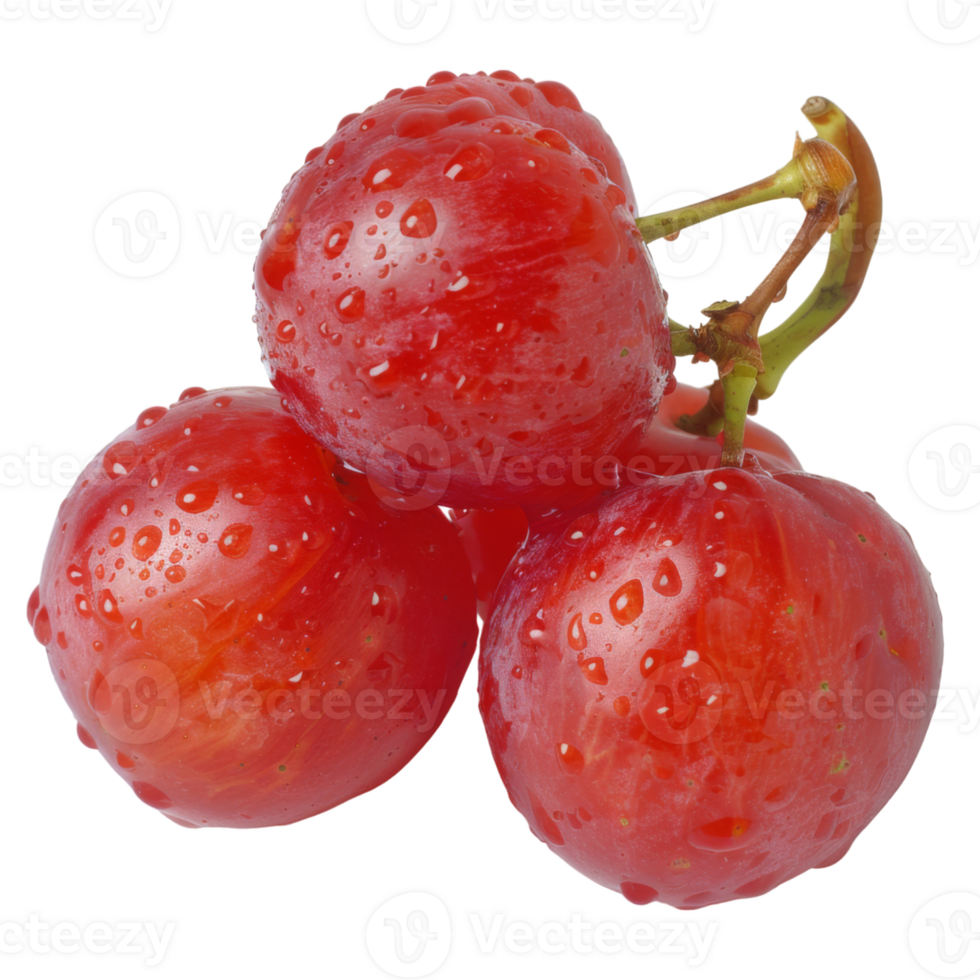 Red Grape, fruit realistic Illustration. Realistic Transparent file. Mockup template for artwork graphic design png