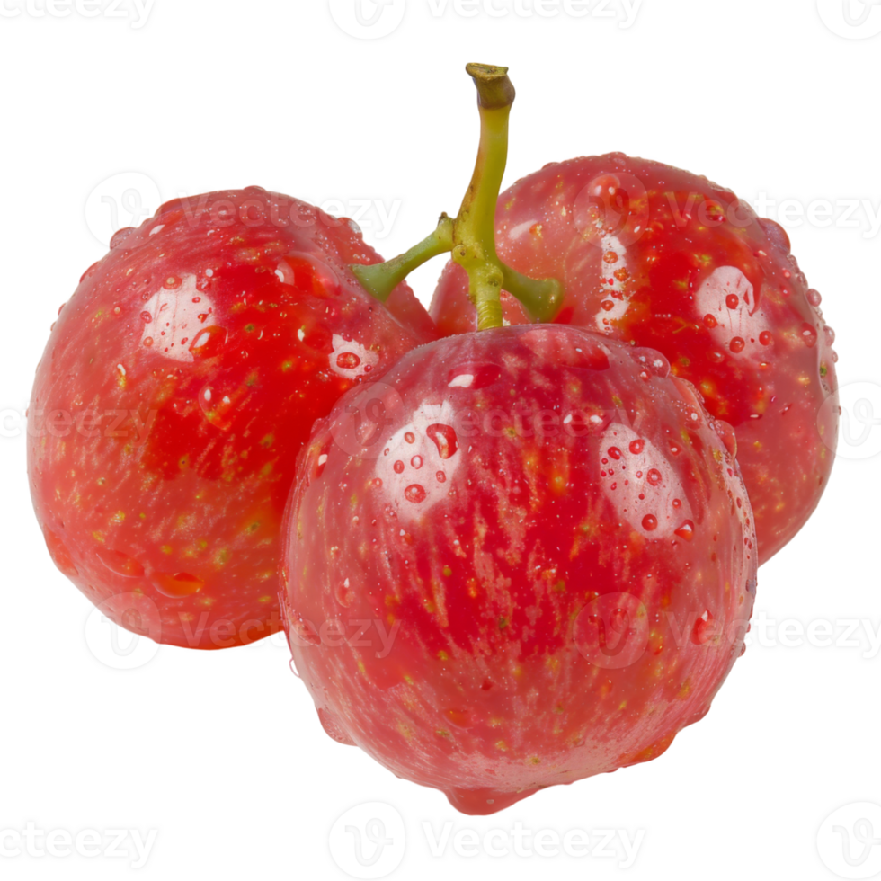 Red Grape, fruit realistic Illustration. Realistic Transparent file. Mockup template for artwork graphic design png