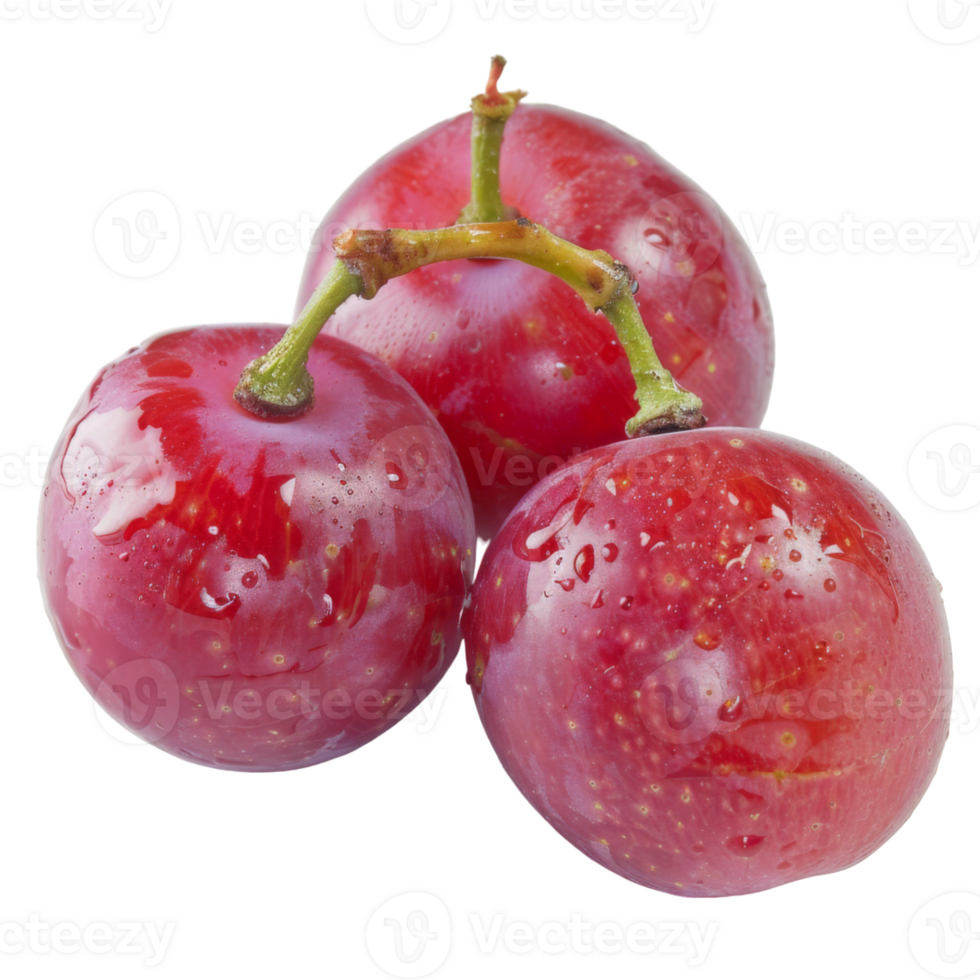Purple Grape, fruit realistic Illustration. Realistic Transparent file. Mockup template for artwork graphic design png