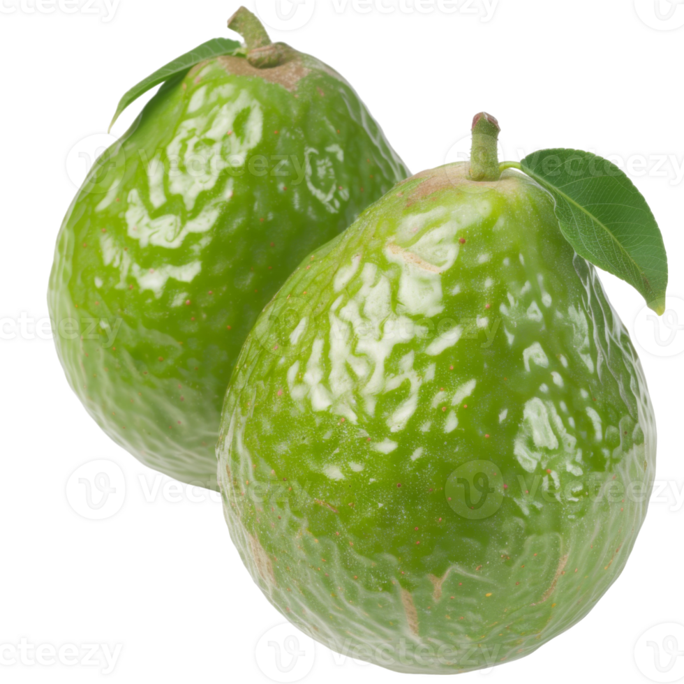 Guava, fruit realistic Illustration. Realistic Transparent file. Mockup template for artwork graphic design png