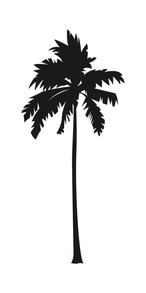 Silhouette of palm tree, coconut tree. Nature, environment concept illustration. png
