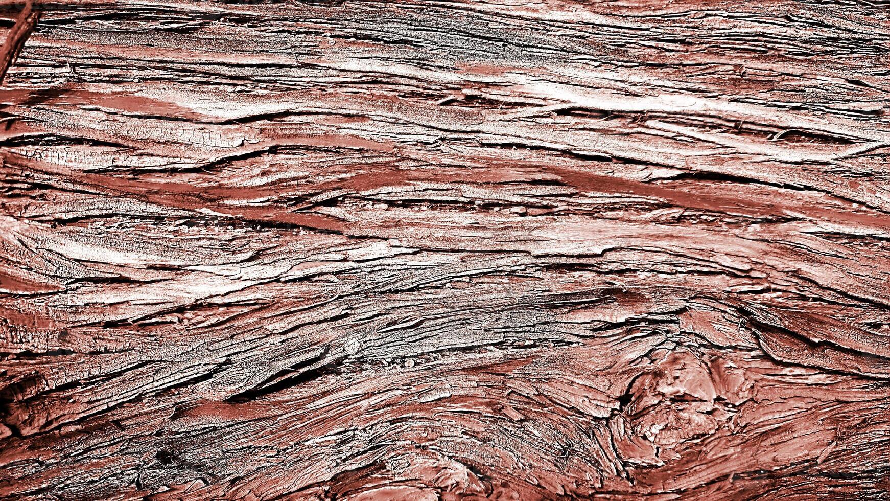 Abstract botanical natural background bark of tree texture cypress nature ecological design brown color, cypress, thuja, evergreen plant, meditation, relaxation, detox, wild nature photo