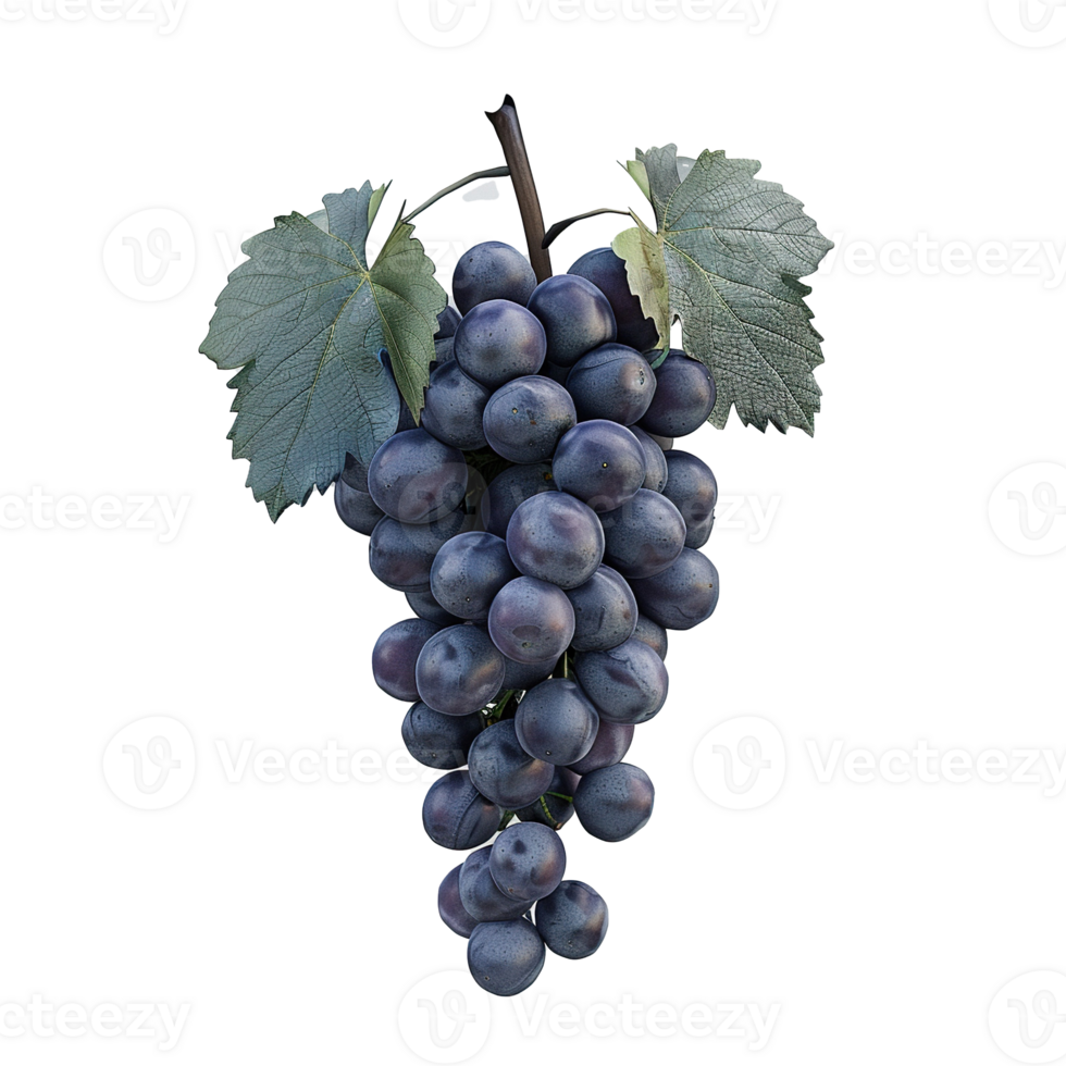 Detailed 3D rendering of a cluster of ripe purple grapes with green leaves png