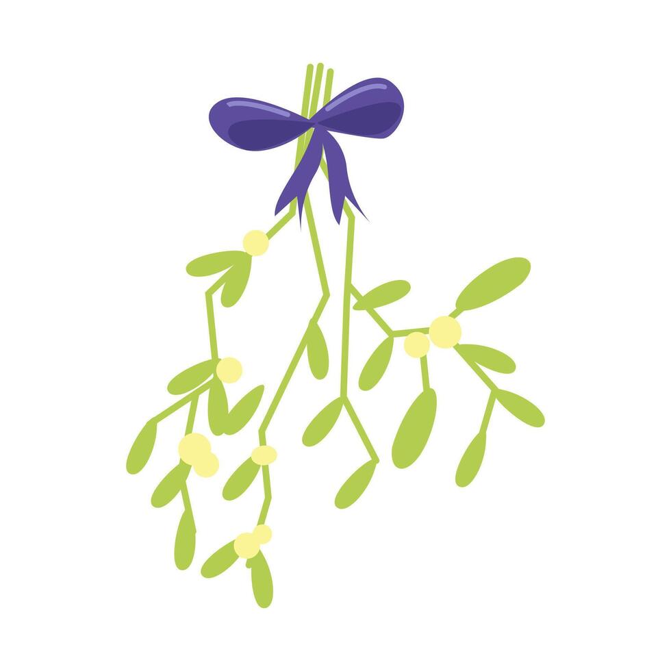 Mistletoe. illustration of hanging mistletoe sprigs with with berries and violet bow isolated on white vector